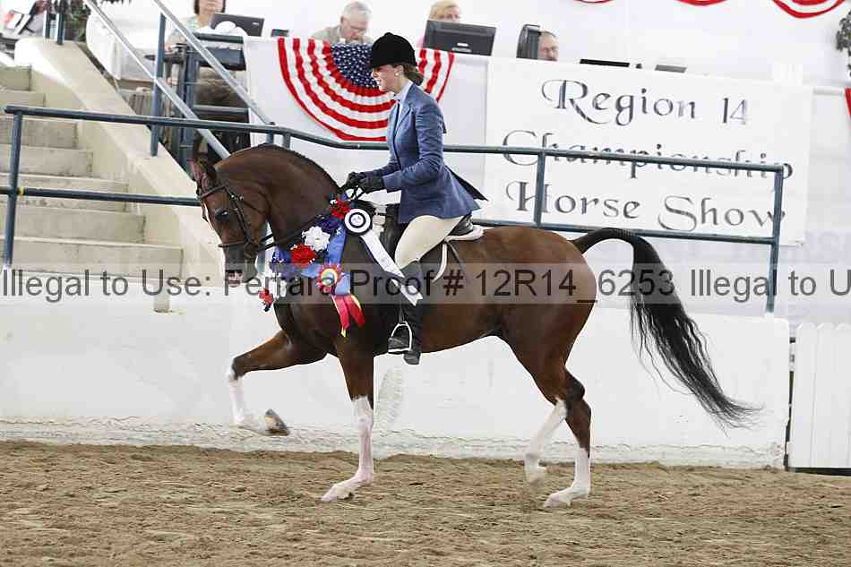 Proof Number 12r14_6253