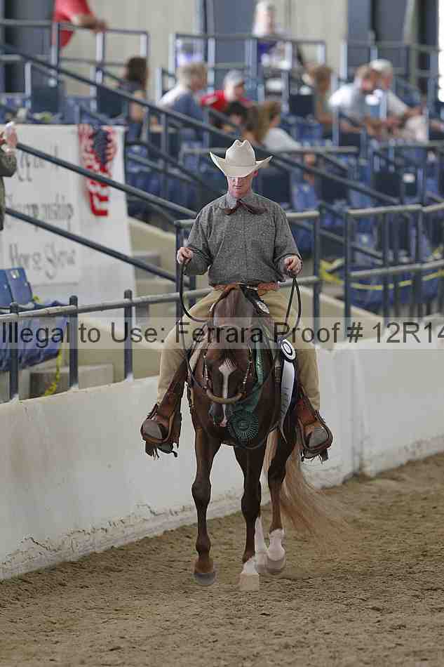 Proof Number 12r14_6295