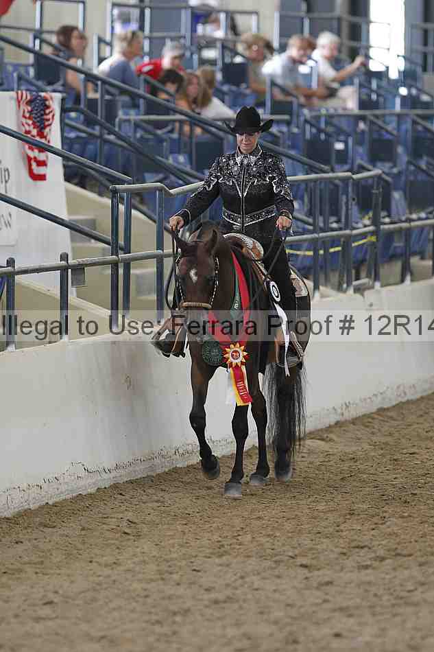 Proof Number 12r14_6300