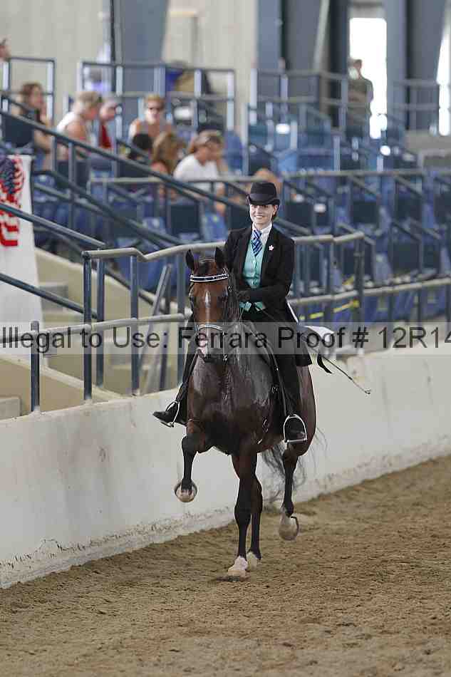 Proof Number 12r14_6332