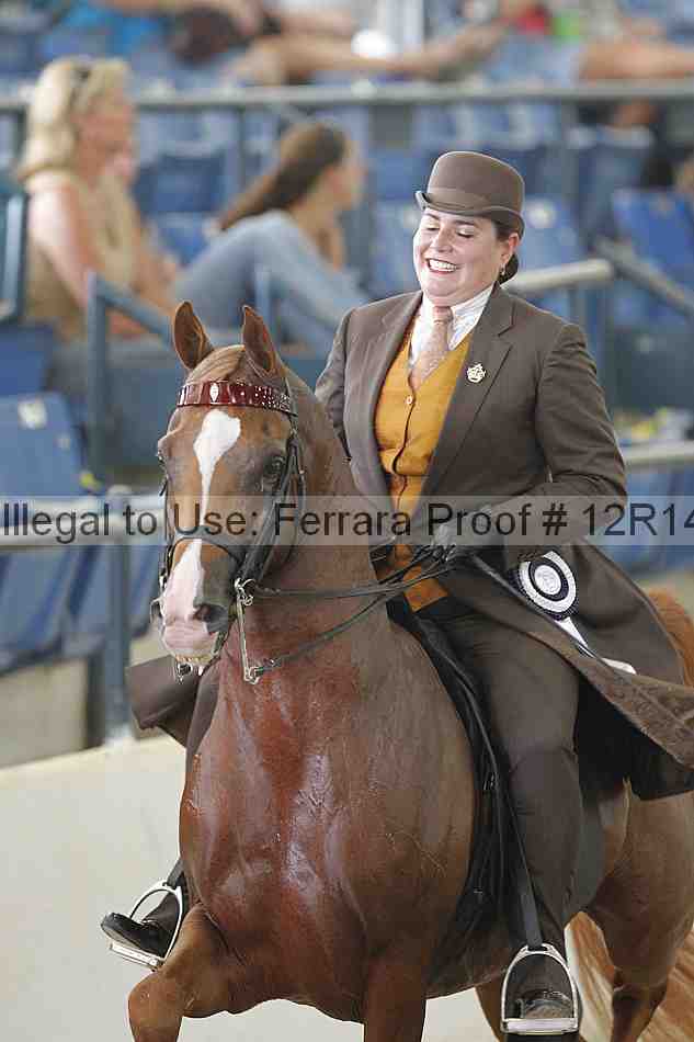 Proof Number 12r14_6334