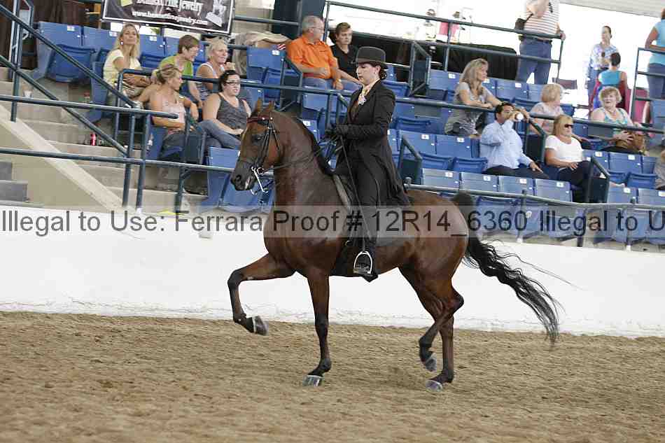 Proof Number 12r14_6360