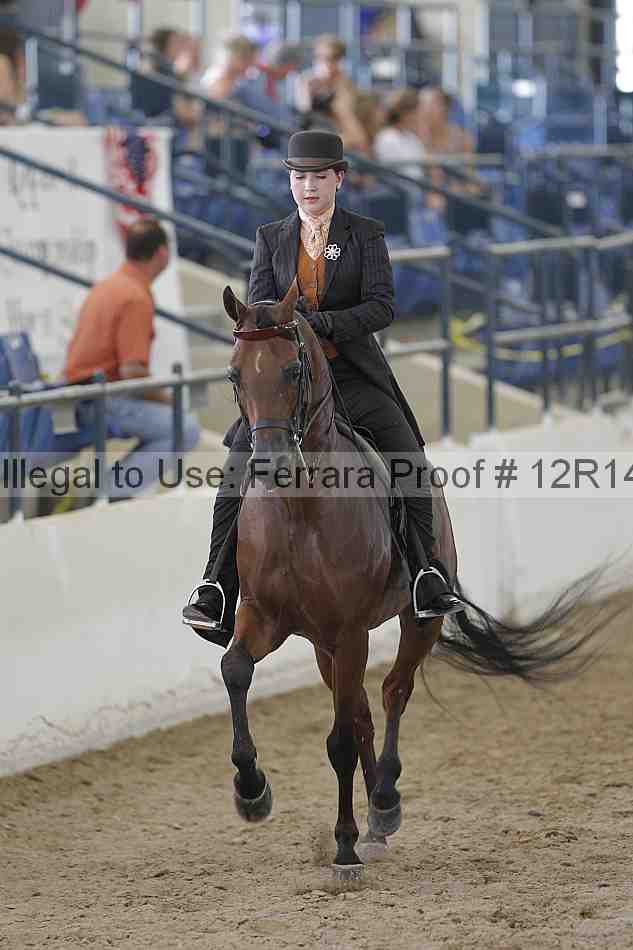 Proof Number 12r14_6366
