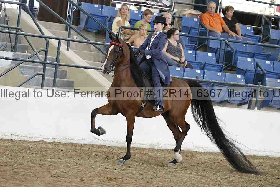 Proof Number 12r14_6367