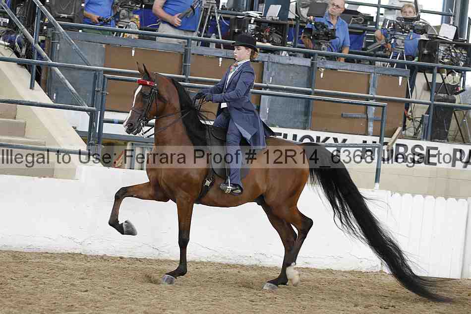 Proof Number 12r14_6368