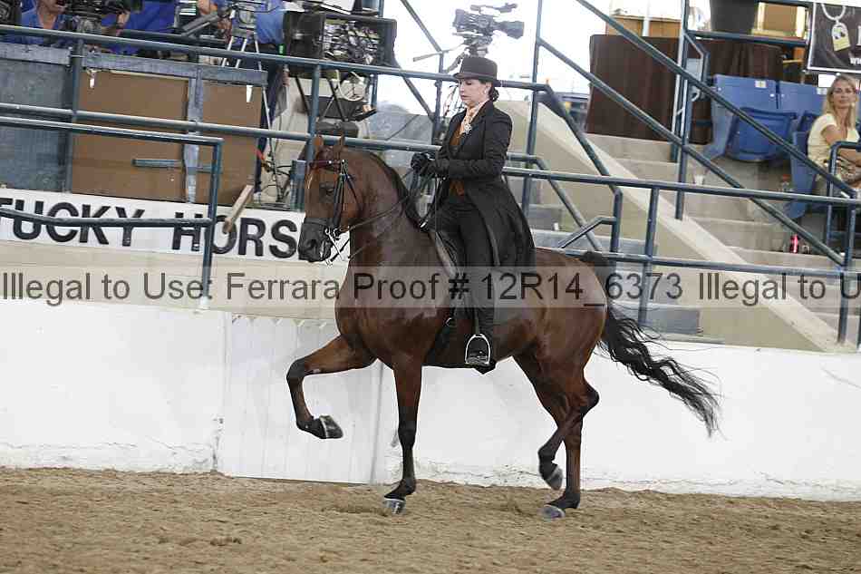 Proof Number 12r14_6373