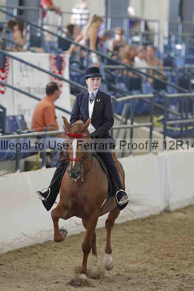 Proof Number 12r14_6375