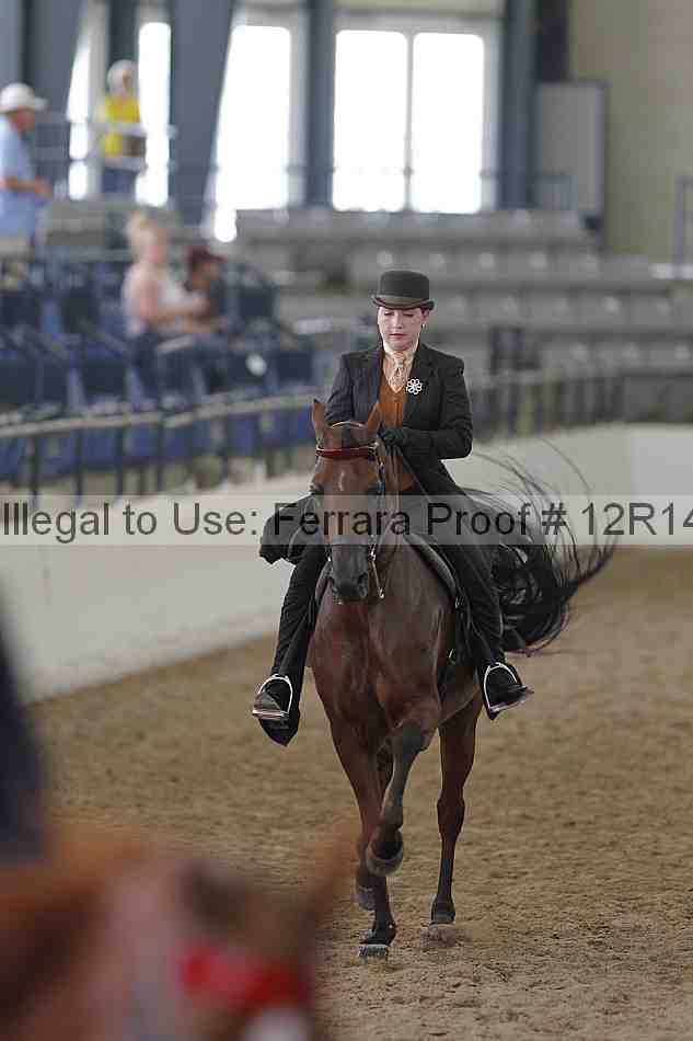 Proof Number 12r14_6376