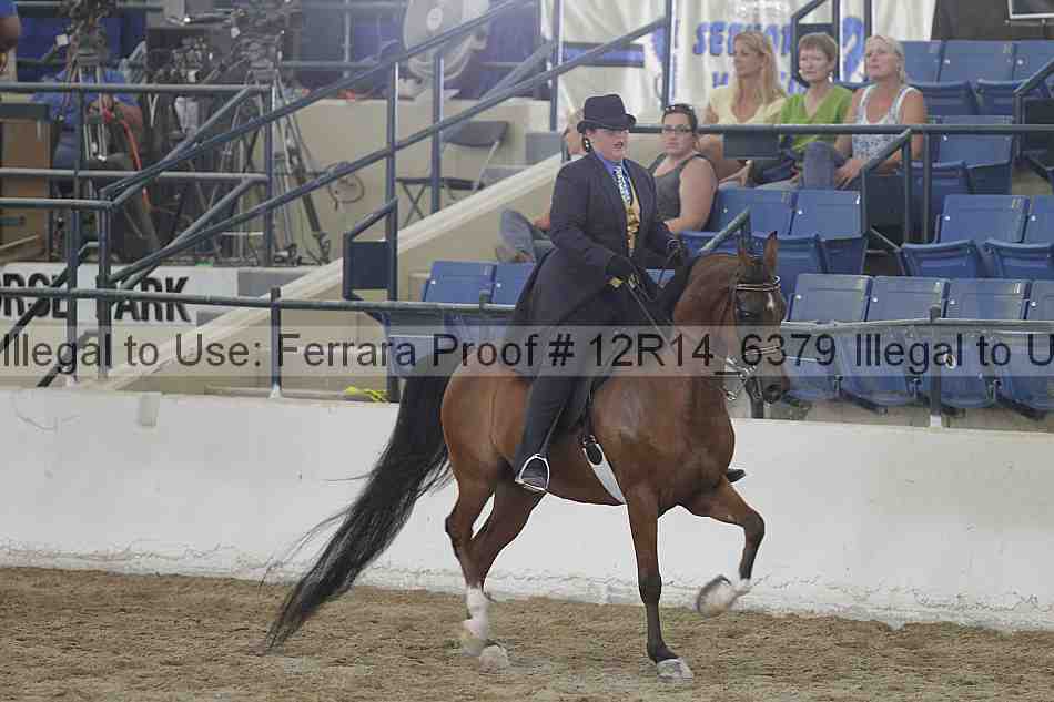 Proof Number 12r14_6379