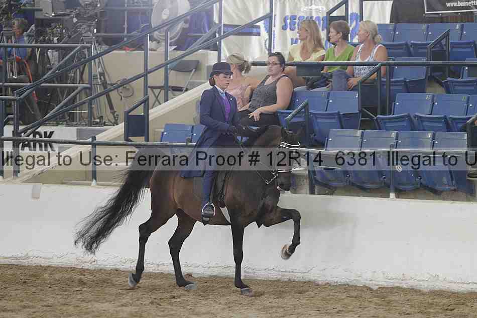 Proof Number 12r14_6381