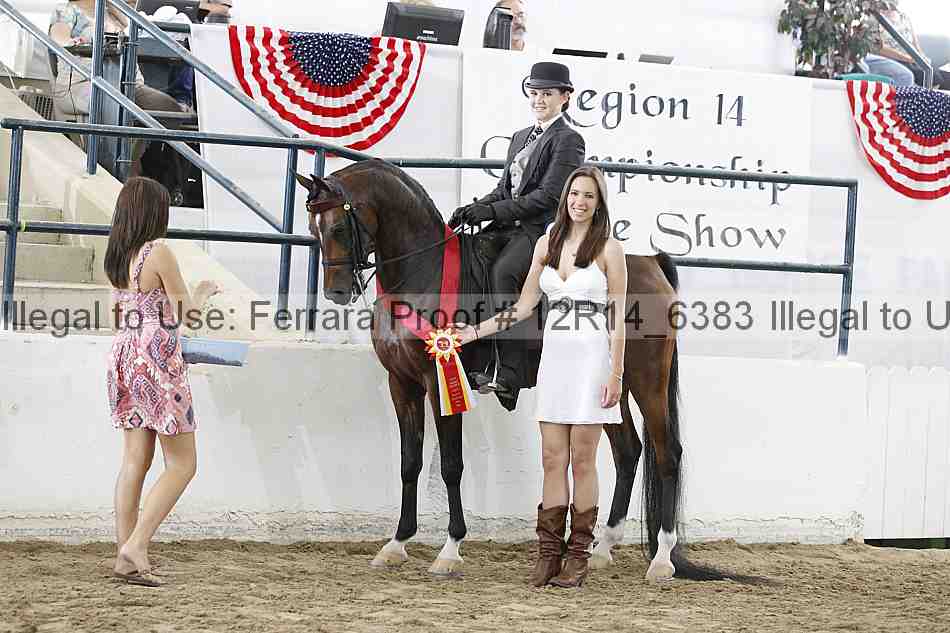 Proof Number 12r14_6383