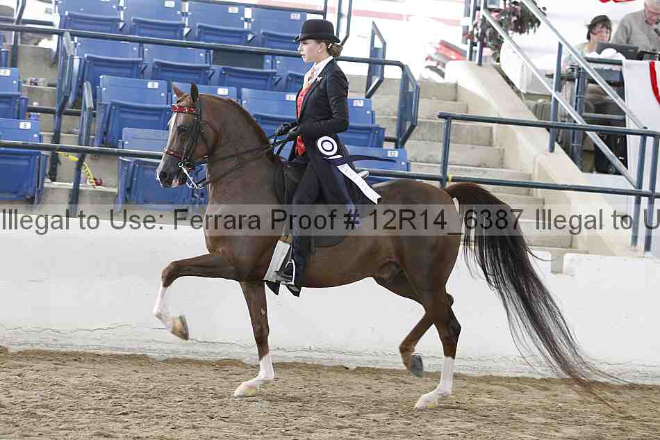 Proof Number 12r14_6387