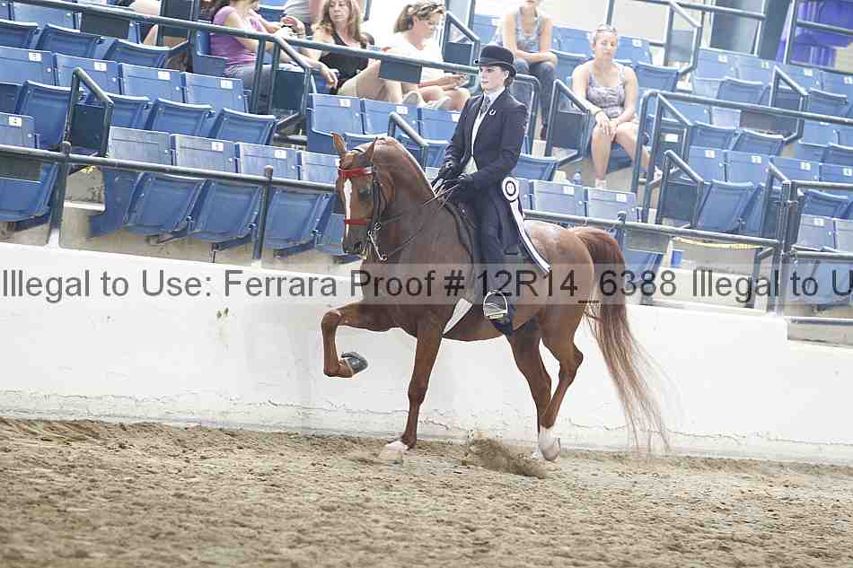 Proof Number 12r14_6388