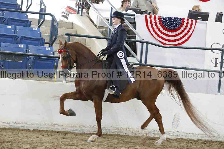 Proof Number 12r14_6389
