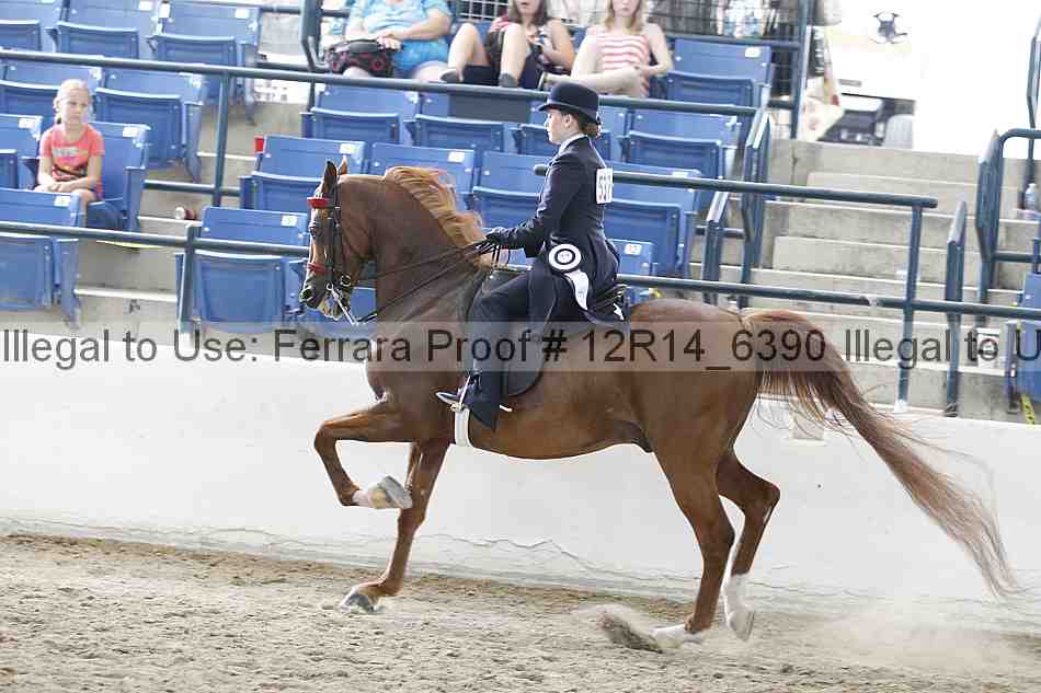 Proof Number 12r14_6390