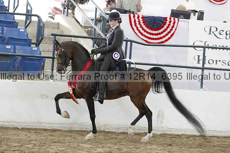 Proof Number 12r14_6395