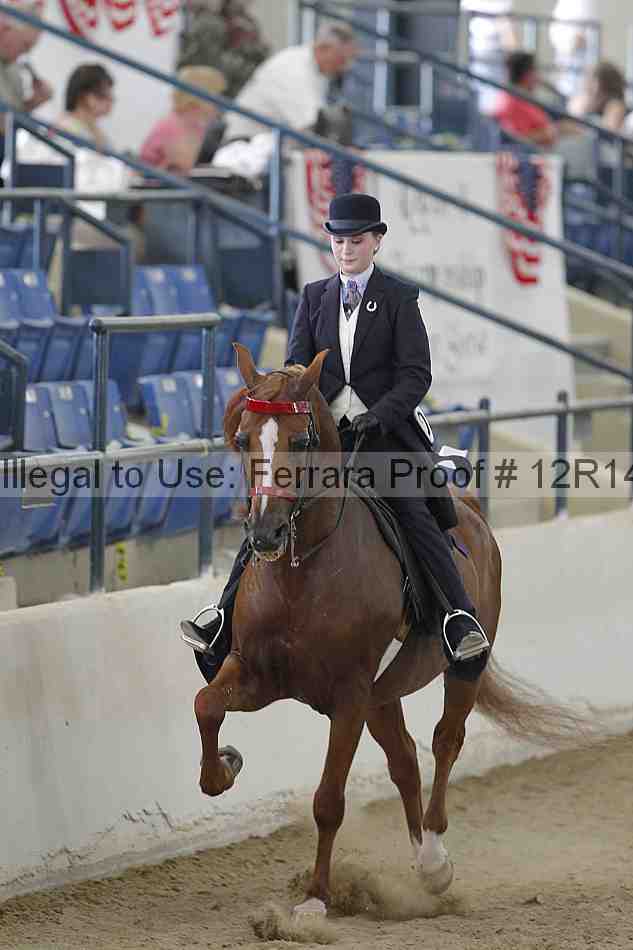 Proof Number 12r14_6397