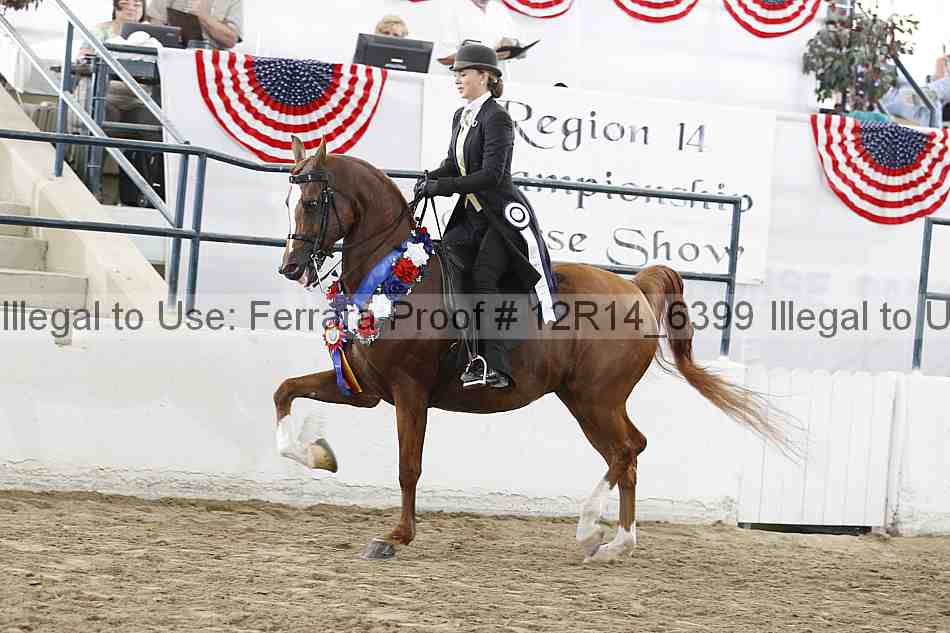 Proof Number 12r14_6399