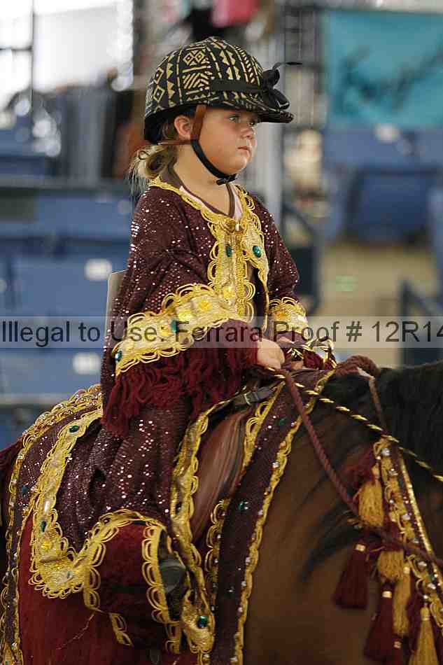Proof Number 12r14_6438