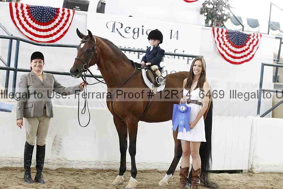 Proof Number 12r14_6469
