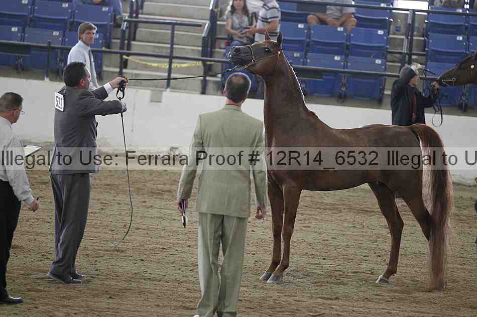 Proof Number 12r14_6532