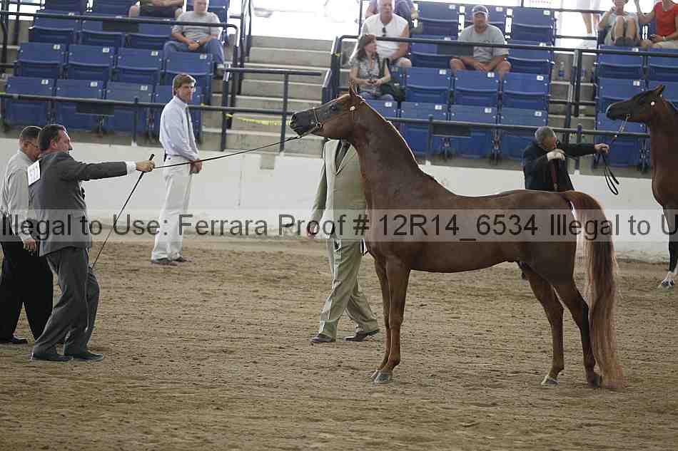 Proof Number 12r14_6534