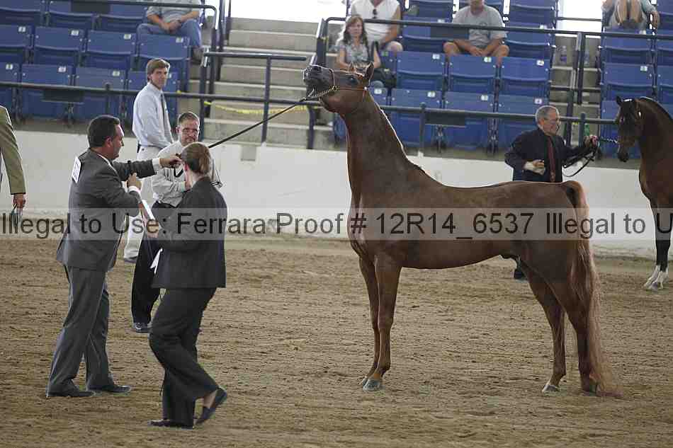 Proof Number 12r14_6537
