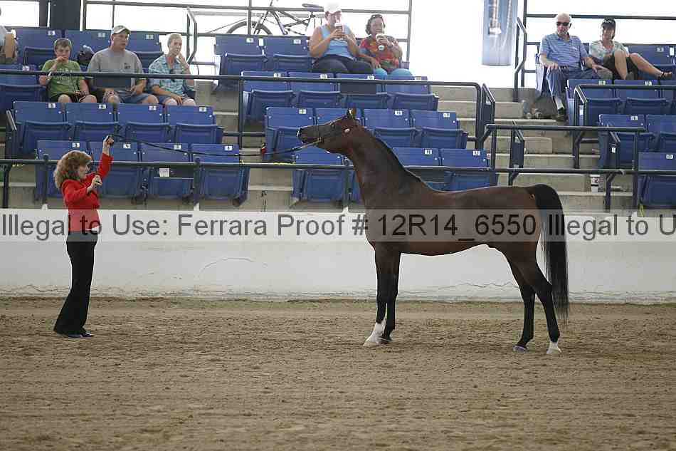 Proof Number 12r14_6550