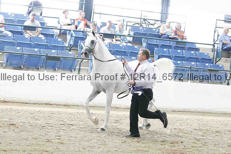 Proof Number 12r14_6572