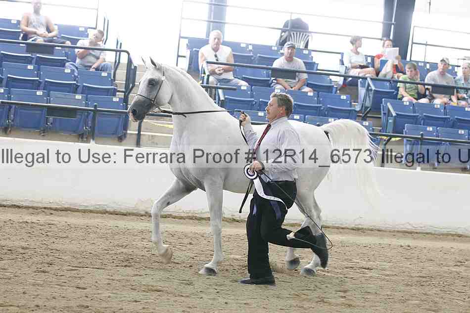 Proof Number 12r14_6573