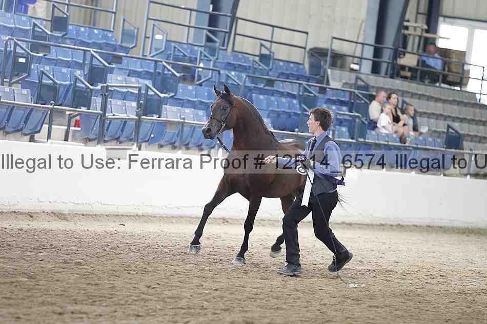 Proof Number 12r14_6574