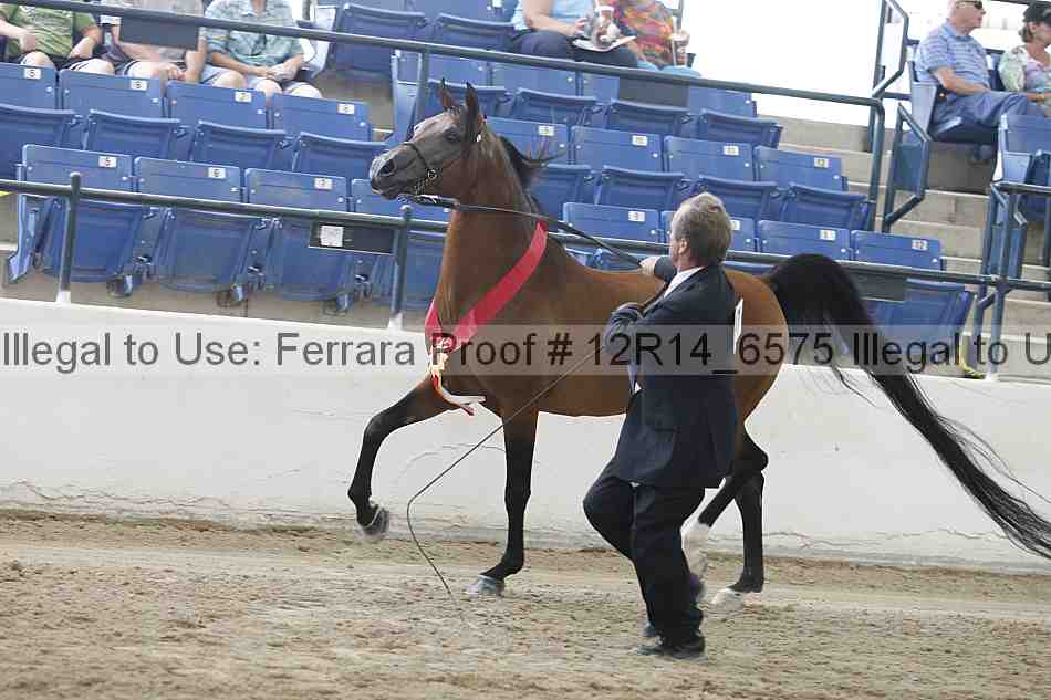 Proof Number 12r14_6575