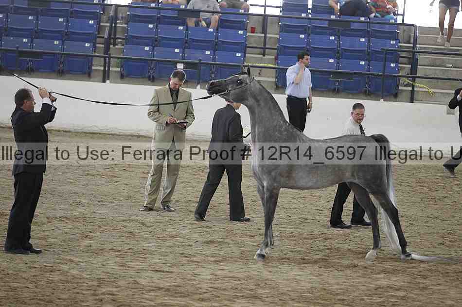Proof Number 12r14_6597
