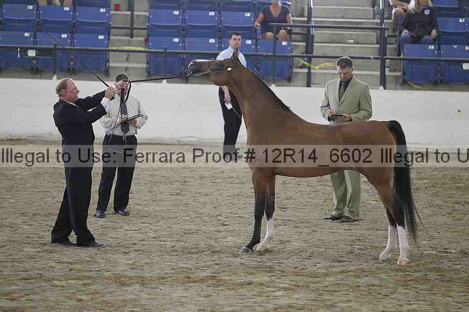 Proof Number 12r14_6602