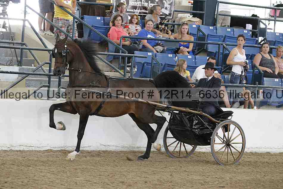 Proof Number 12r14_6636