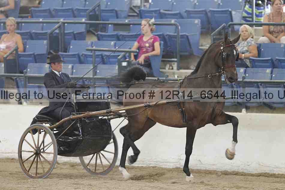 Proof Number 12r14_6644