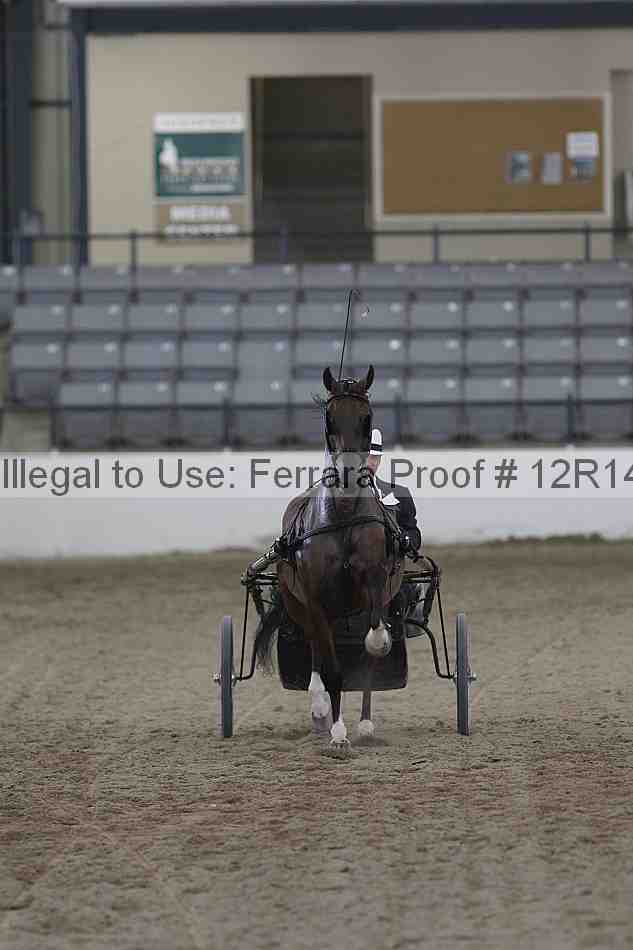 Proof Number 12r14_6652