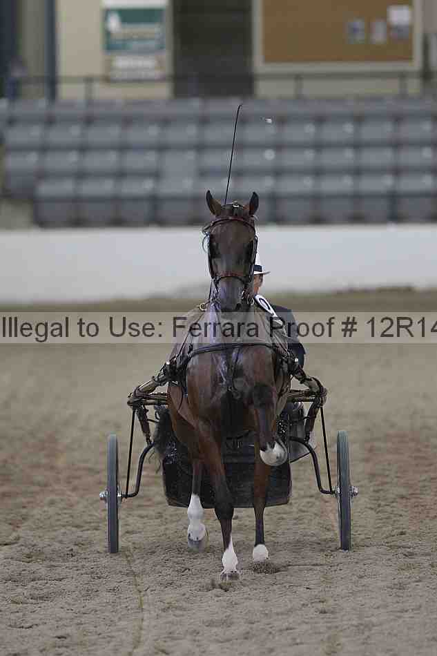 Proof Number 12r14_6656