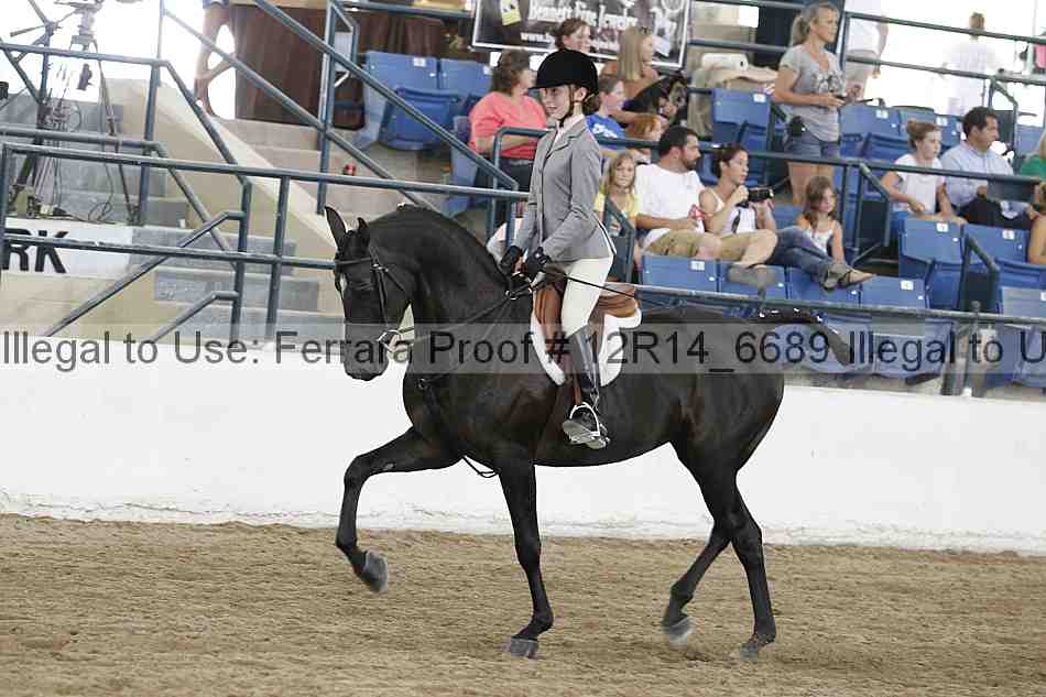 Proof Number 12r14_6689