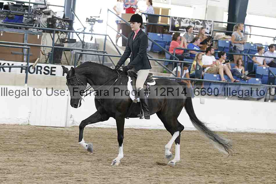 Proof Number 12r14_6690