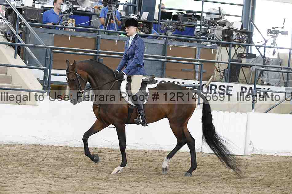 Proof Number 12r14_6691
