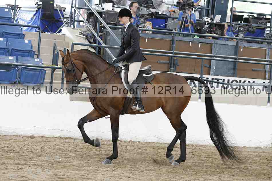 Proof Number 12r14_6693