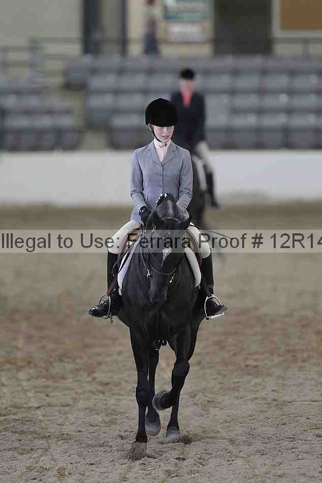 Proof Number 12r14_6694