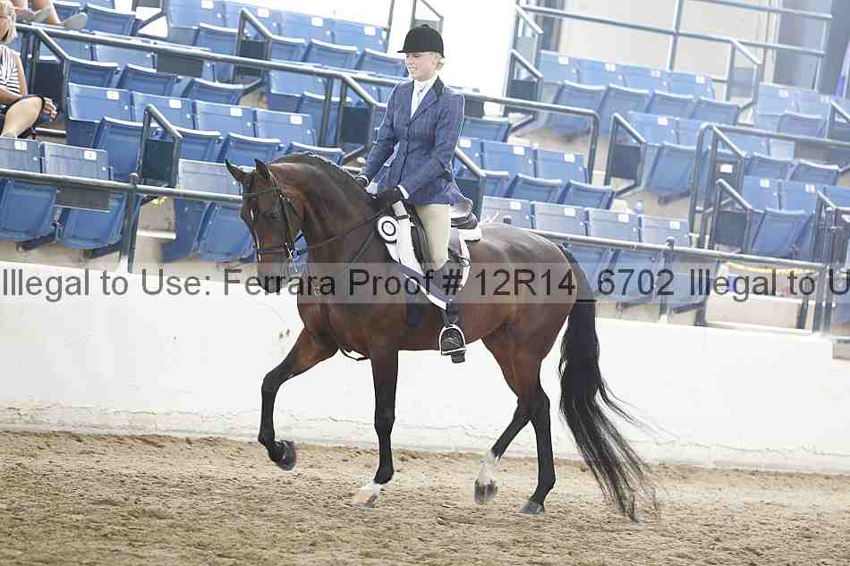 Proof Number 12r14_6702