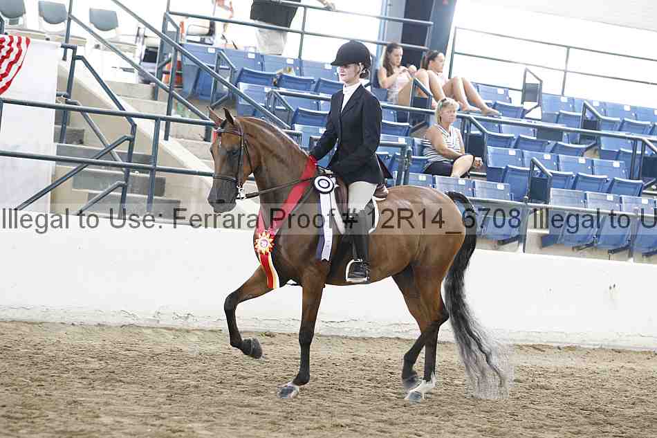 Proof Number 12r14_6708