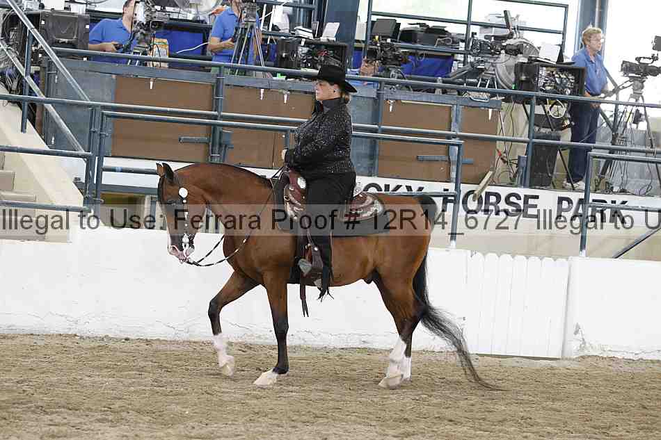 Proof Number 12r14_6727