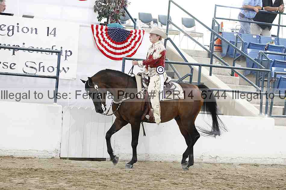 Proof Number 12r14_6744