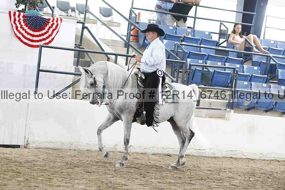 Proof Number 12r14_6746