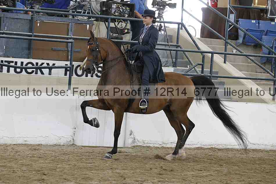 Proof Number 12r14_6777