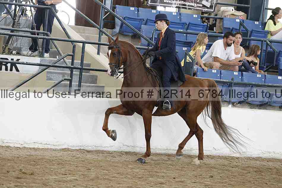 Proof Number 12r14_6784